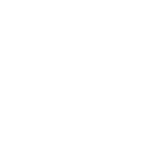Louis Sonnenschutz